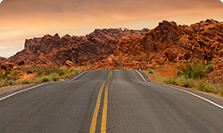 Arbitration and Litigation